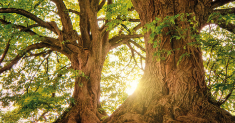 Manosque : concert interreligieux